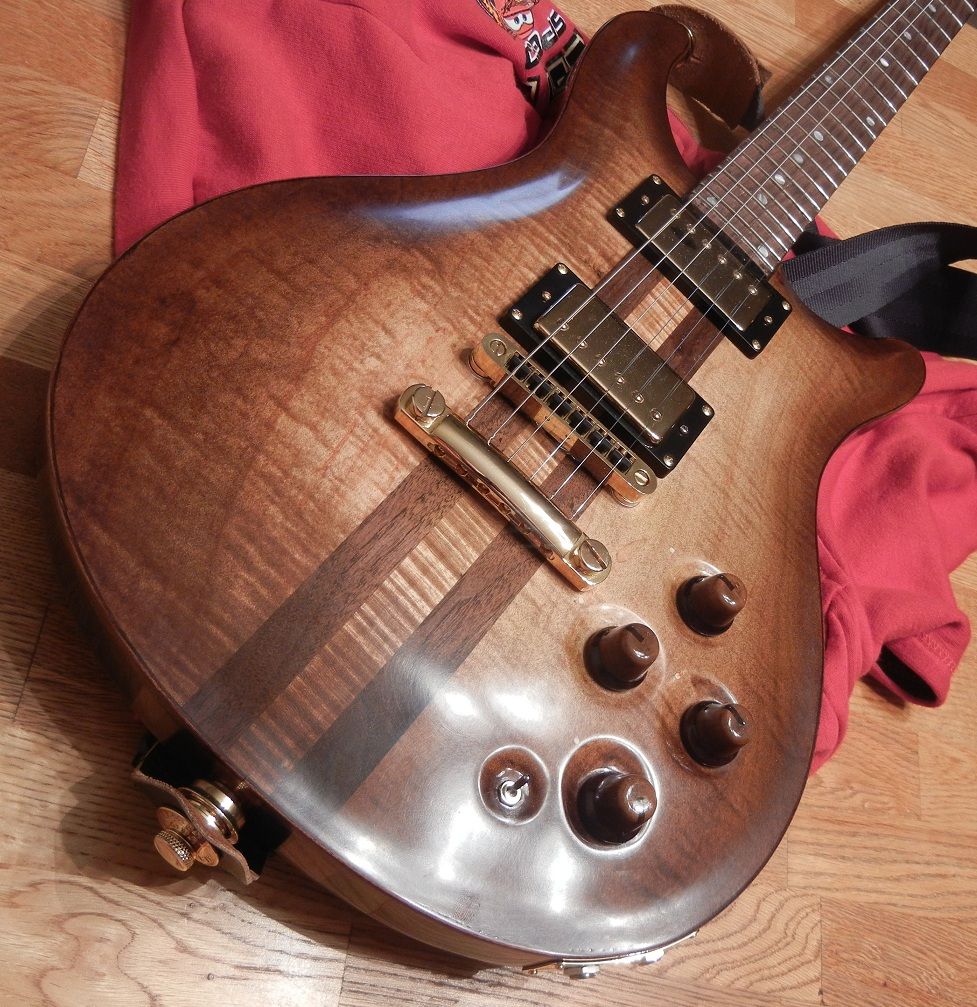 Need Help! Best DIY guide to build guitar bodies and necks?